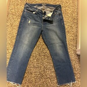 Torrid Classic Blue Denim Jeans